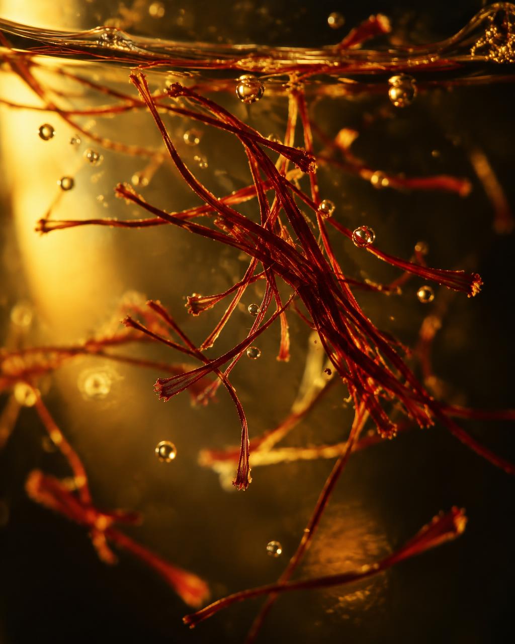 Red saffron threads suspended in translucent golden liquid, lit by warm directional light
